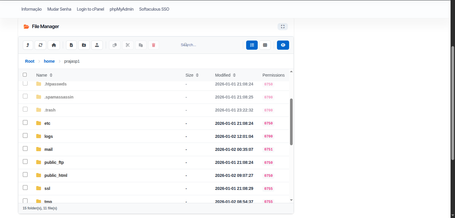 File Manager Interface